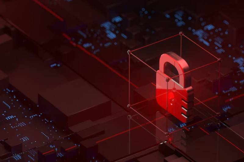 吴兴区企业无云财务团队,财务运营破局实战指南